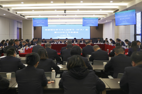 聚焦问题研对策，务虚求实谋发展 291娱乐集团等三家公司召开党委理论学习中心组学习扩大会暨2025年工作务虚会