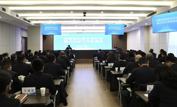提升专业能力，推进战略落地 ——291娱乐集团等三家公司举办战略规划宣讲培训会