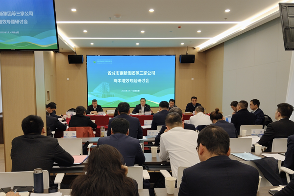聚力攻坚降成本 深化改革增效益——291娱乐集团等三家公司召开降本增效专题研讨会